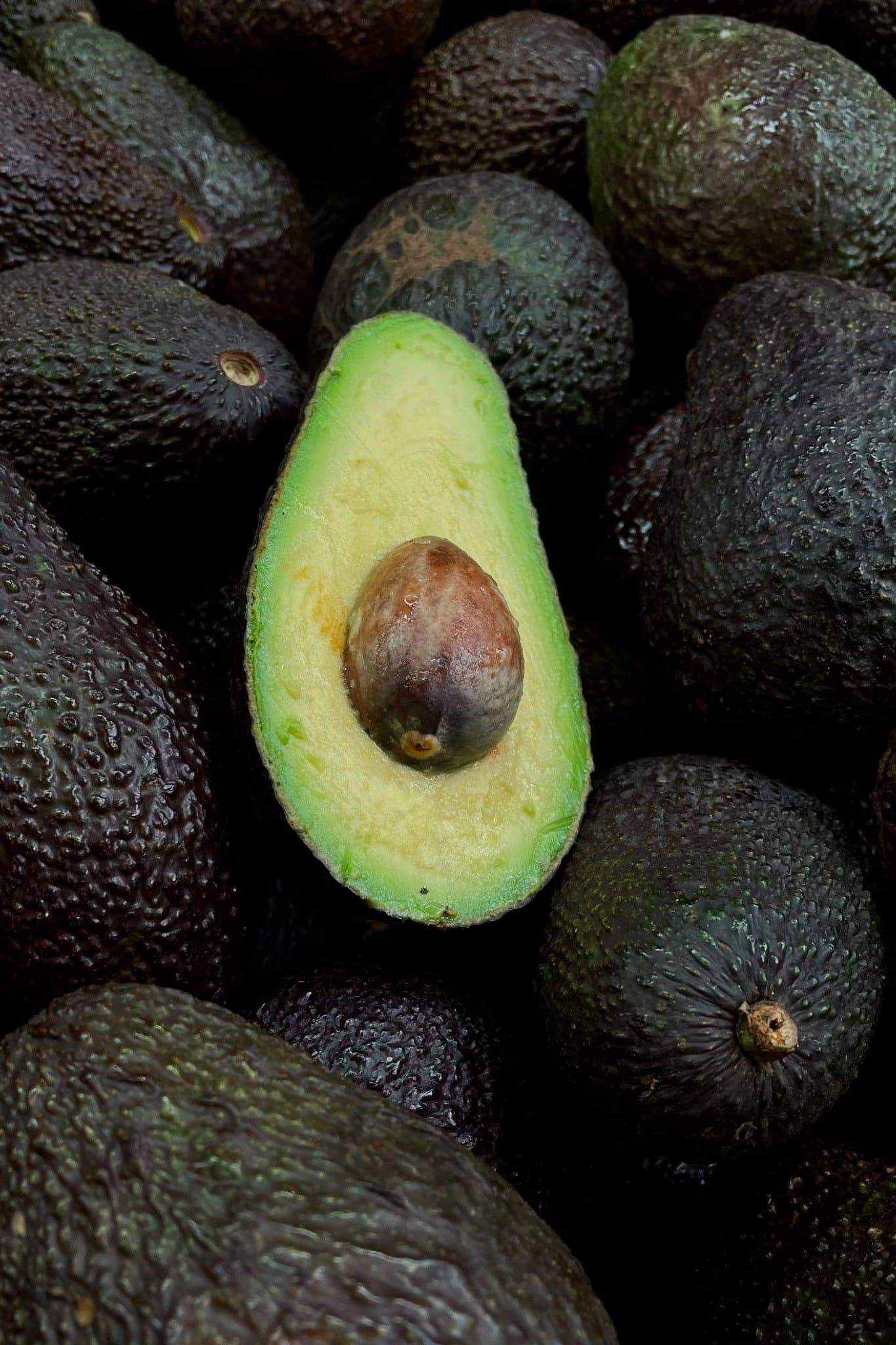 Premium Palta por Kilo